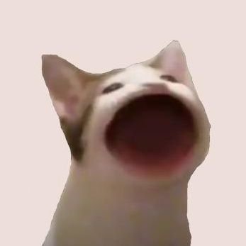 Meme